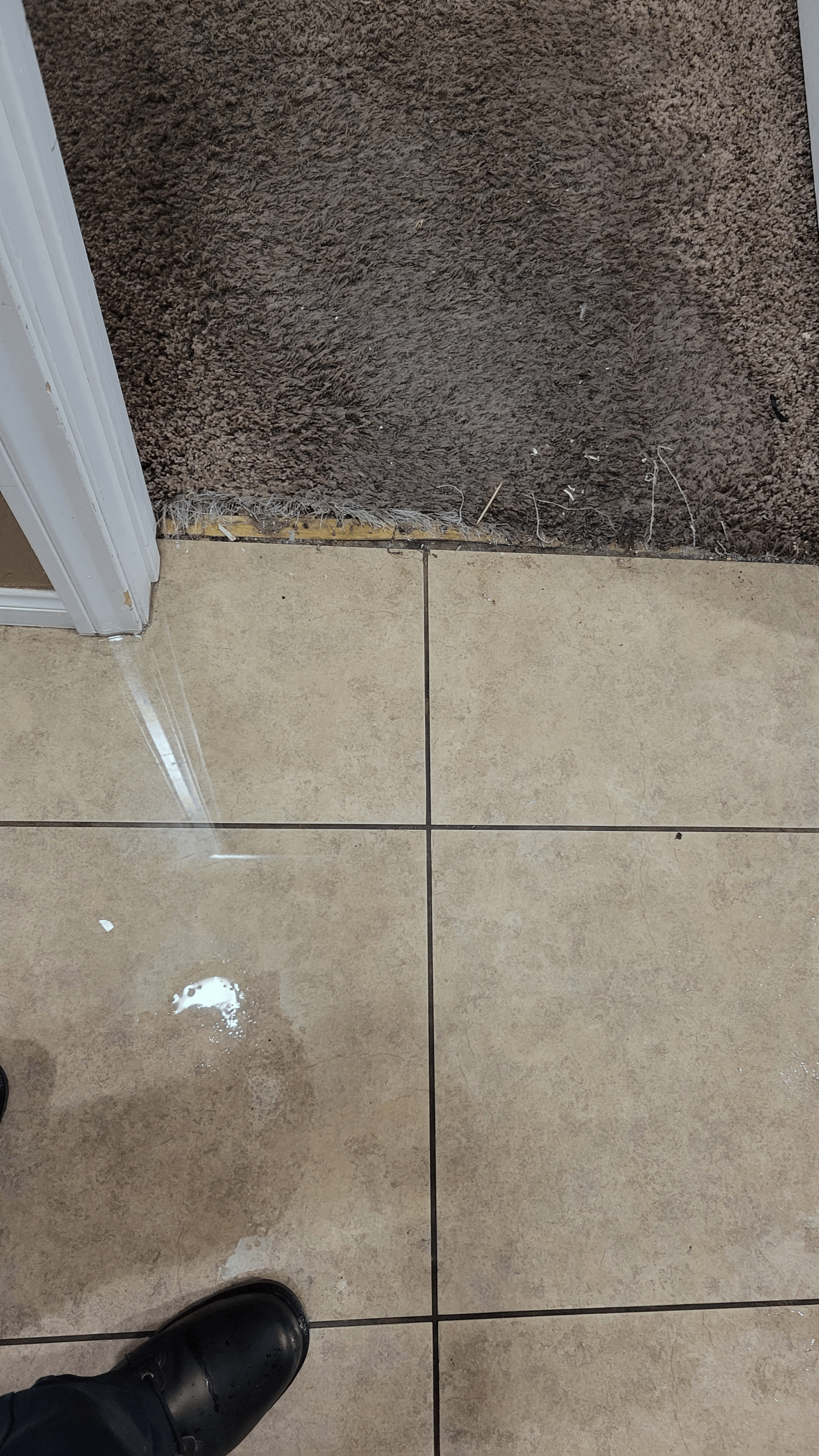 Property restoration Mohave Valley AZ cleanup and restoration work during emergency response