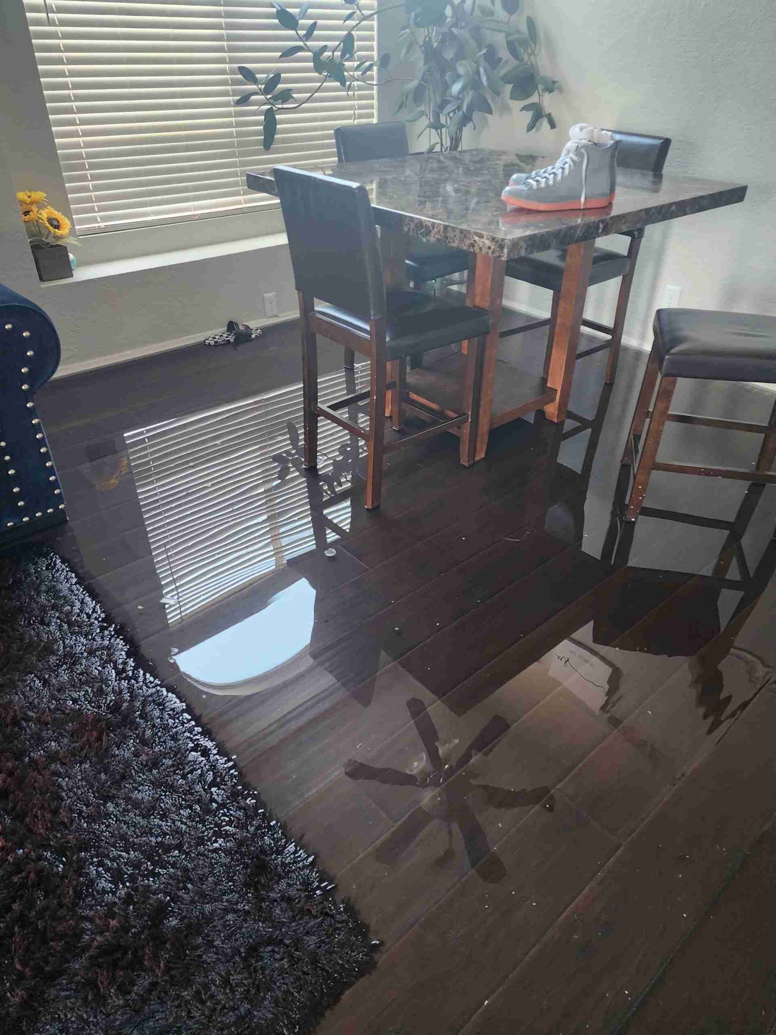 Mold Remediation Lake Havasu City interior restoration project