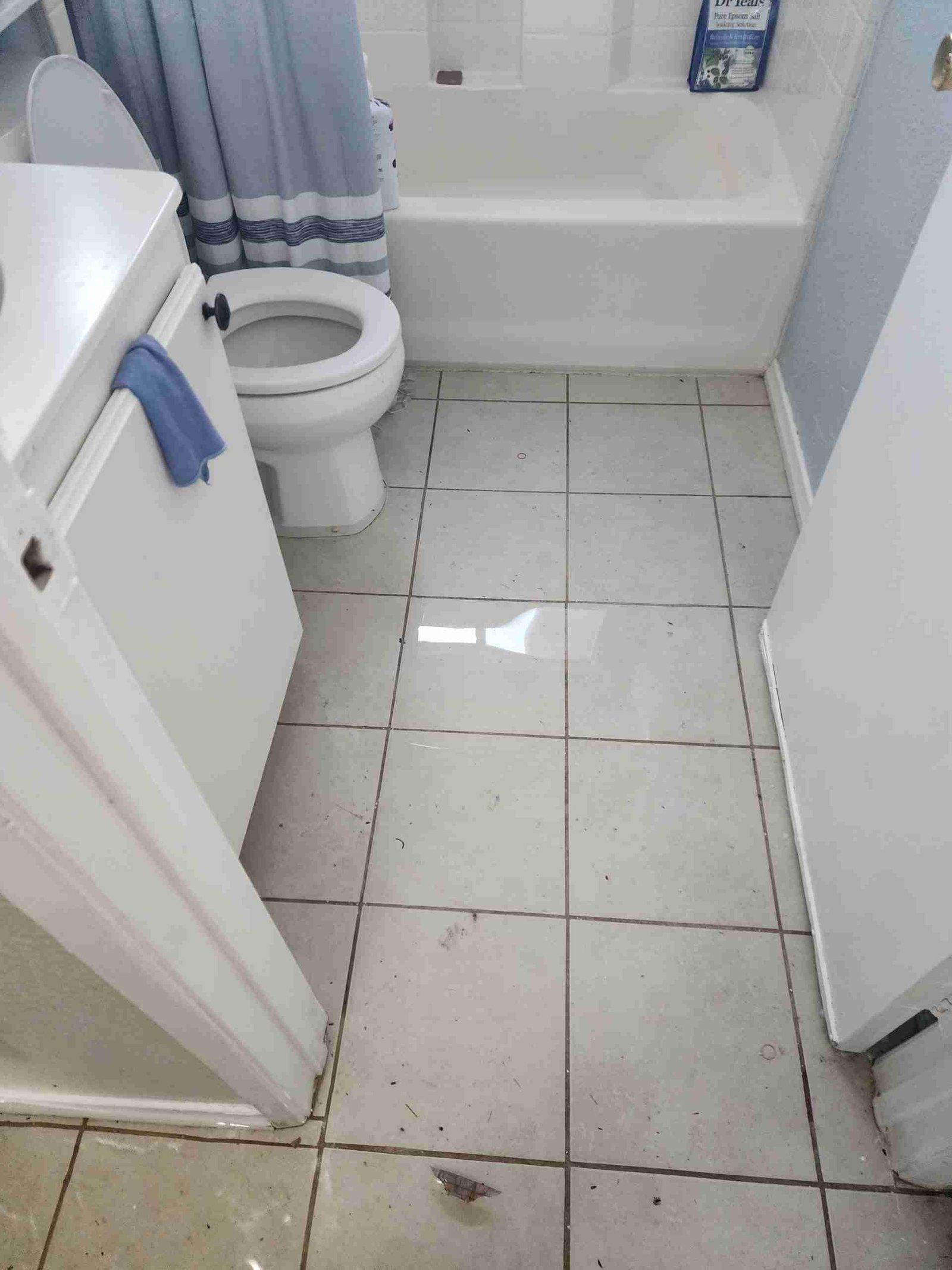 Water Mitigation Lake Havasu City project with extraction and cleanup