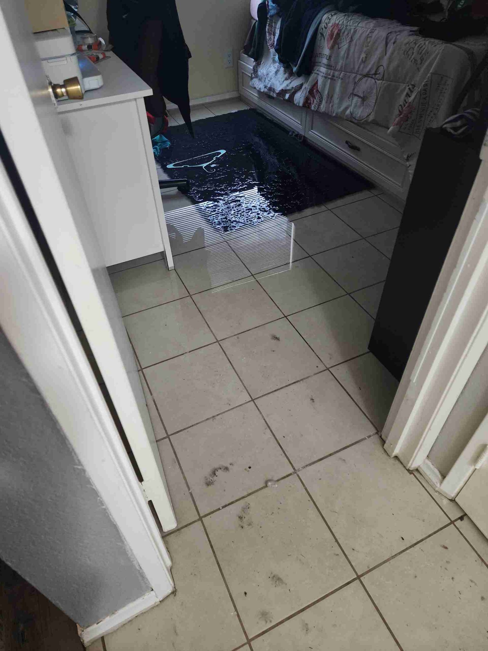 water damage restoration in henderson nv showing cleanup and damage conditions after an emergency water loss