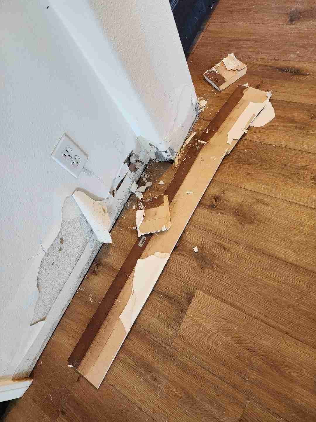 Property restoration Mohave Valley AZ structural drying and cleanup after water intrusion